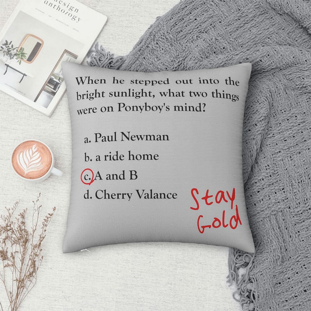 Outsiders Ponyboy Quiz Questio - Home Decor Quiz Free recension och pris
